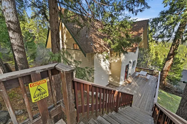 a view of a garden with plants