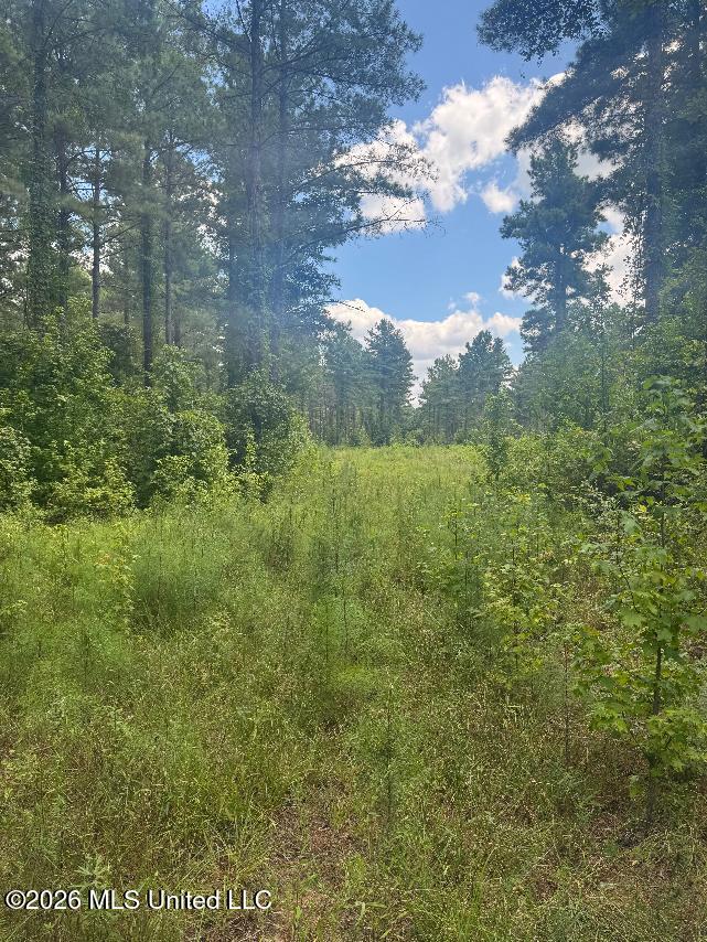 33 Highway Roxie Ms 39661 Roxie, MS 39661 - Photo 26 of 47 26
