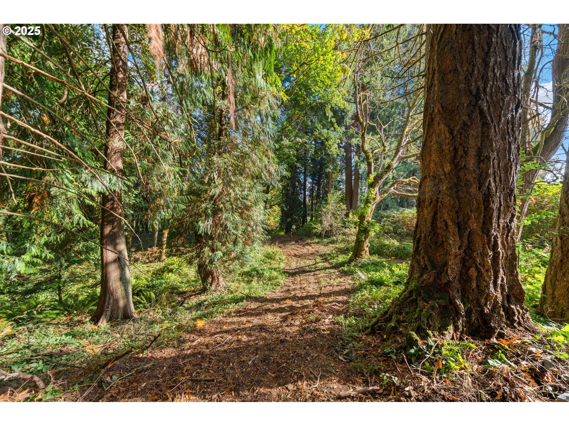 0 South 4th Way Ridgefield, WA 98642 - Photo 11 of 34