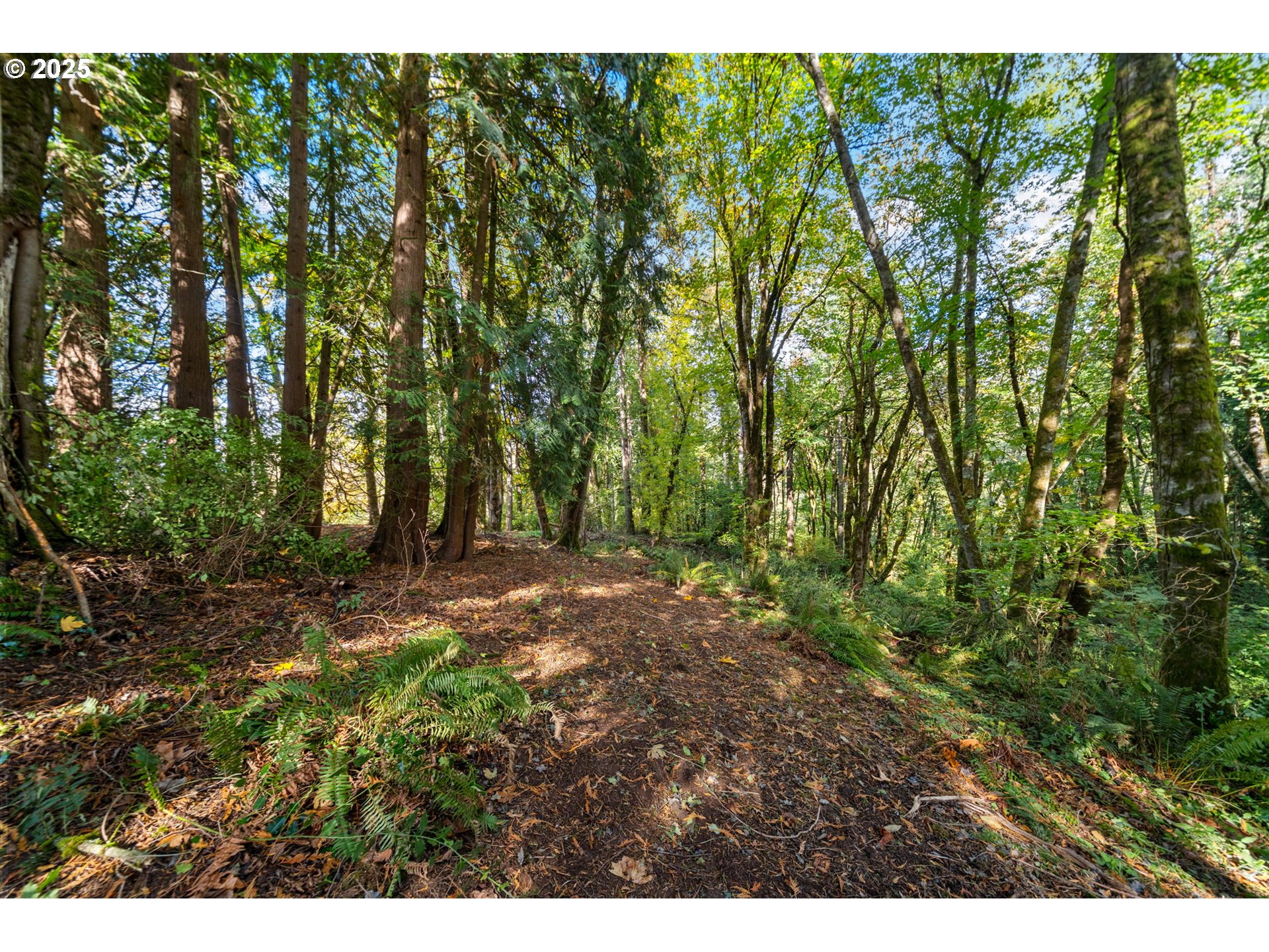 0 South 4th Way Ridgefield, WA 98642 - Photo 12 of 34