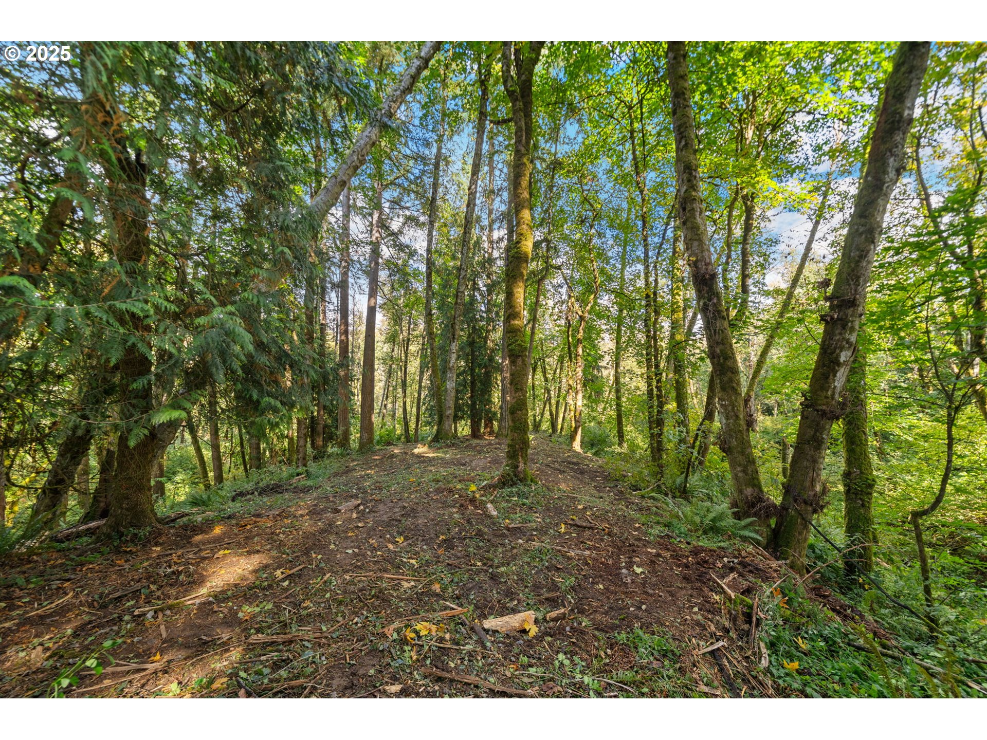 0 South 4th Way Ridgefield, WA 98642 - Photo 13 of 34