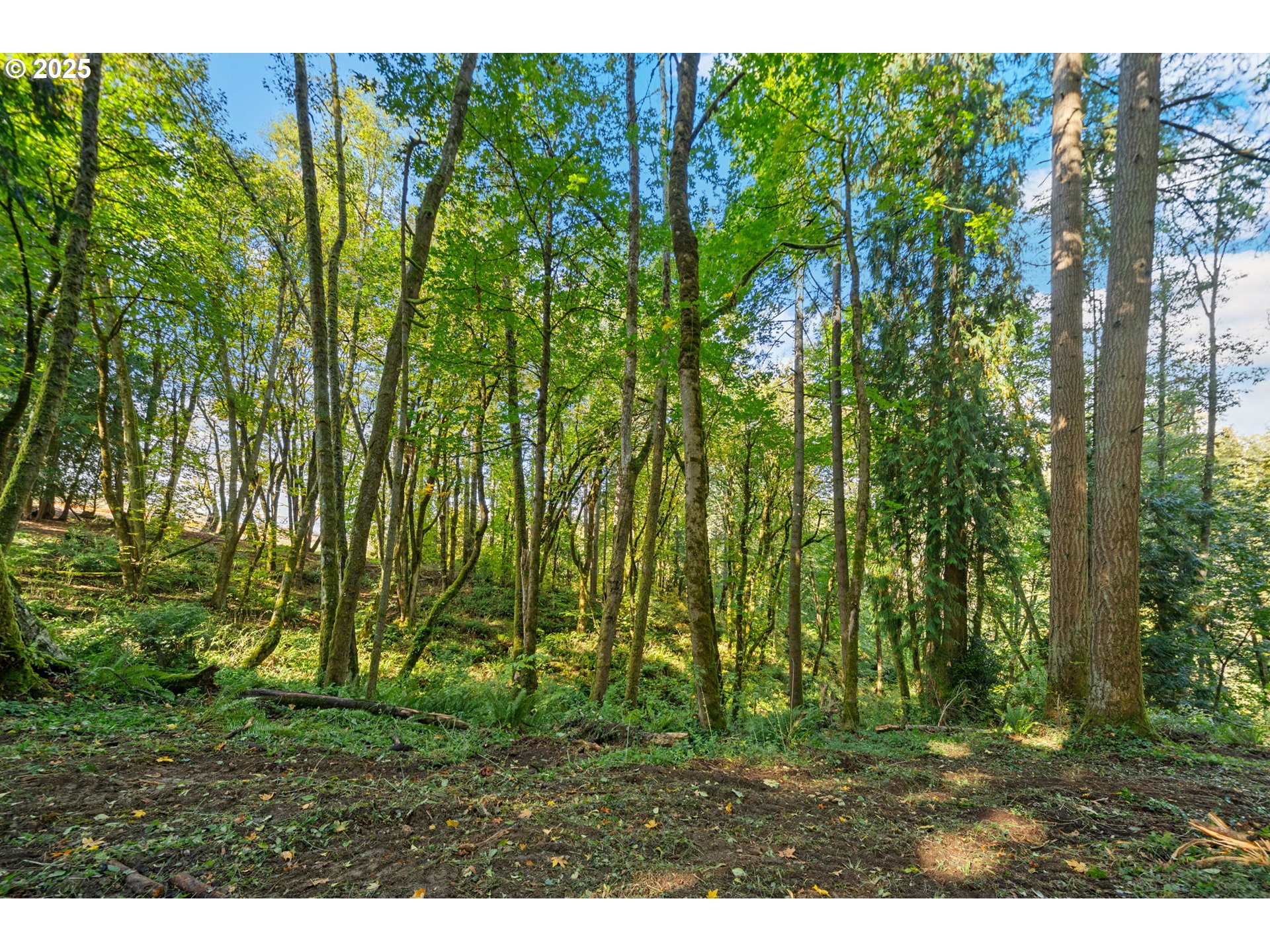 0 South 4th Way Ridgefield, WA 98642 - Photo 14 of 34