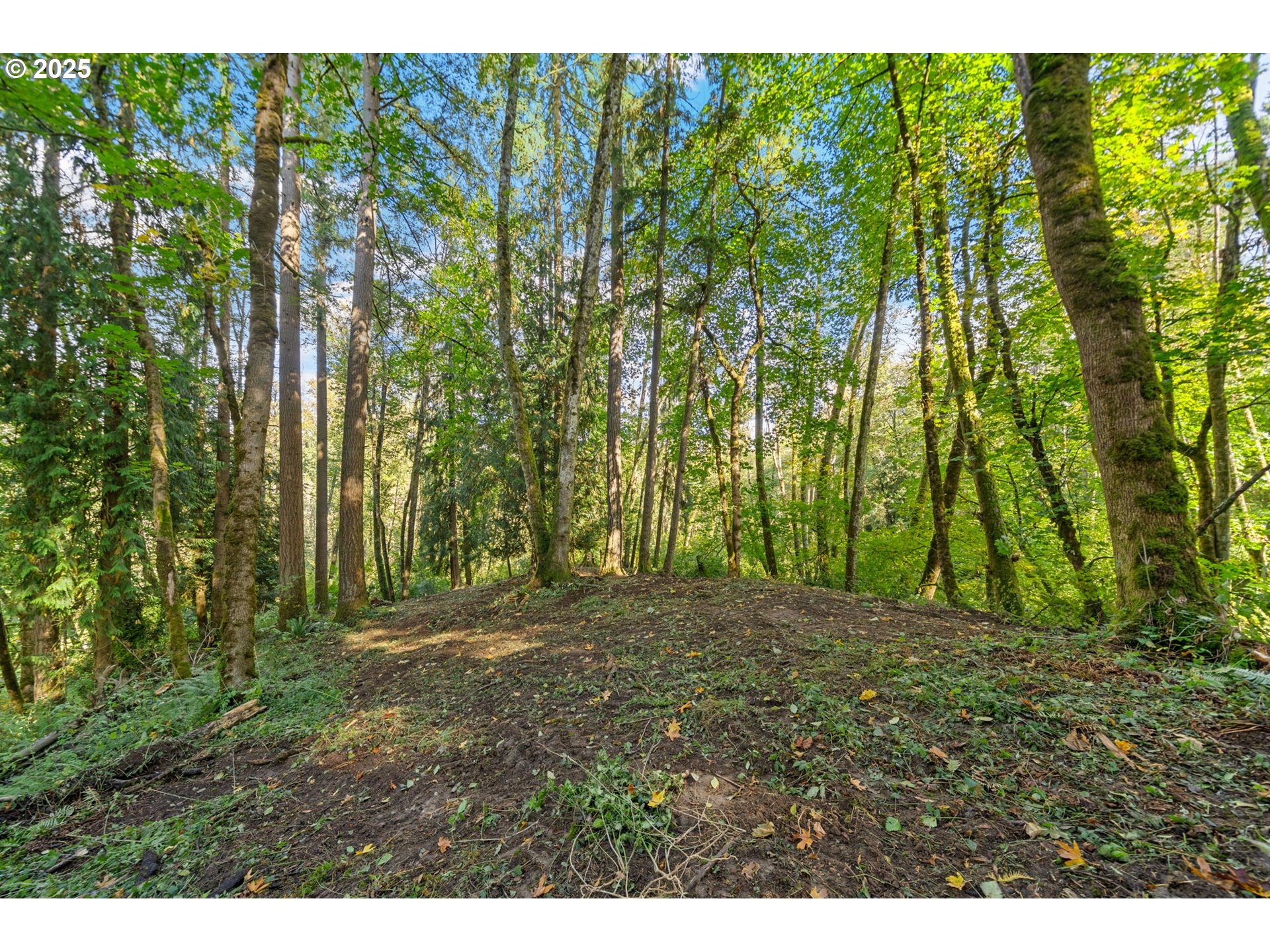 0 South 4th Way Ridgefield, WA 98642 - Photo 15 of 34