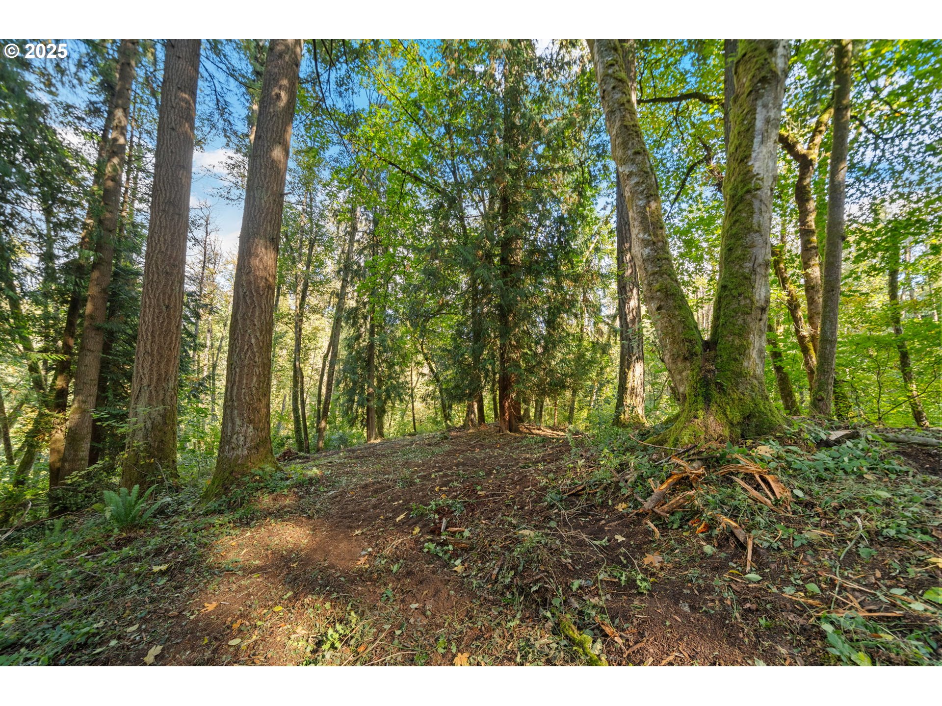 0 South 4th Way Ridgefield, WA 98642 - Photo 16 of 34