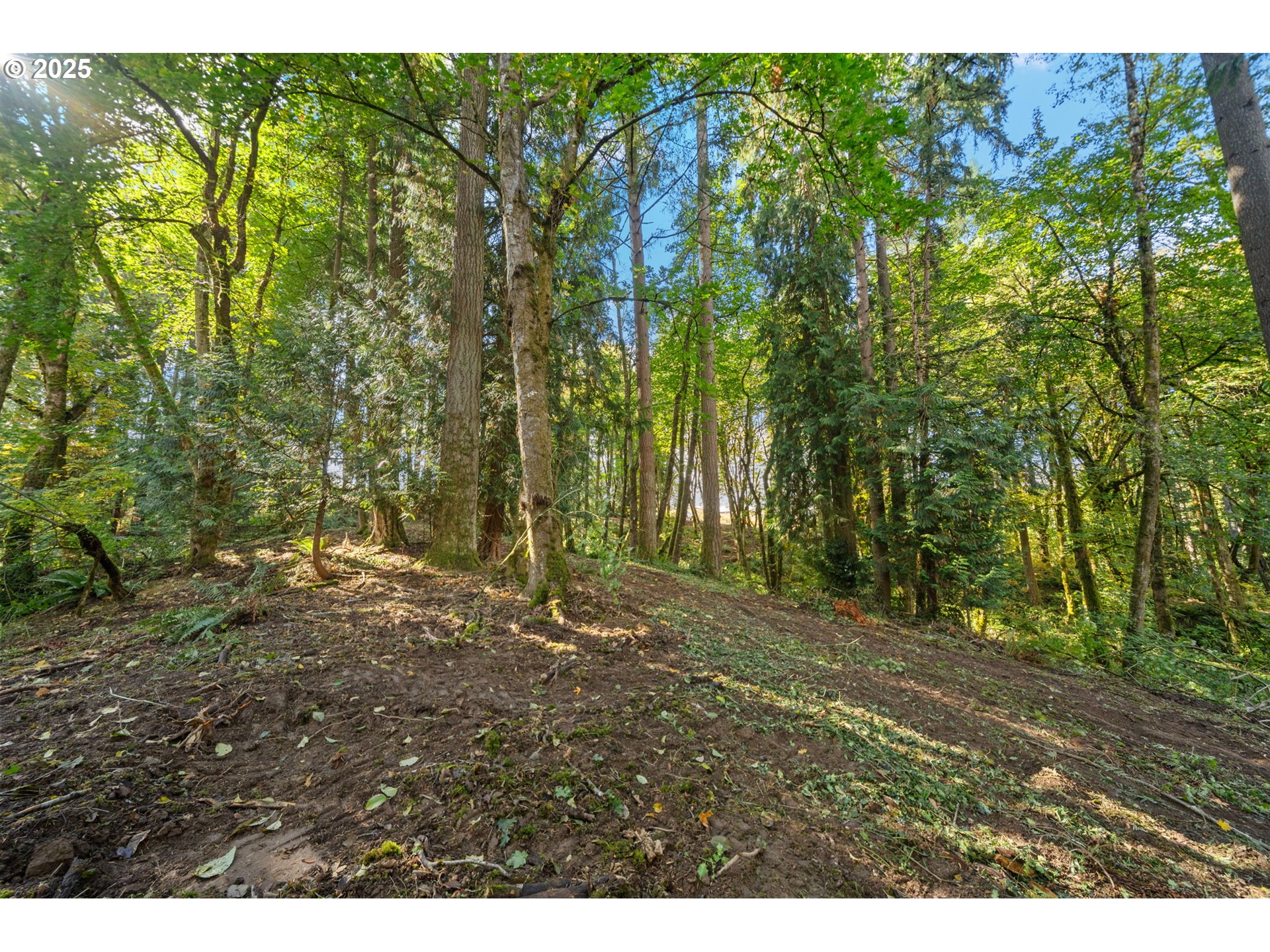 0 South 4th Way Ridgefield, WA 98642 - Photo 17 of 34