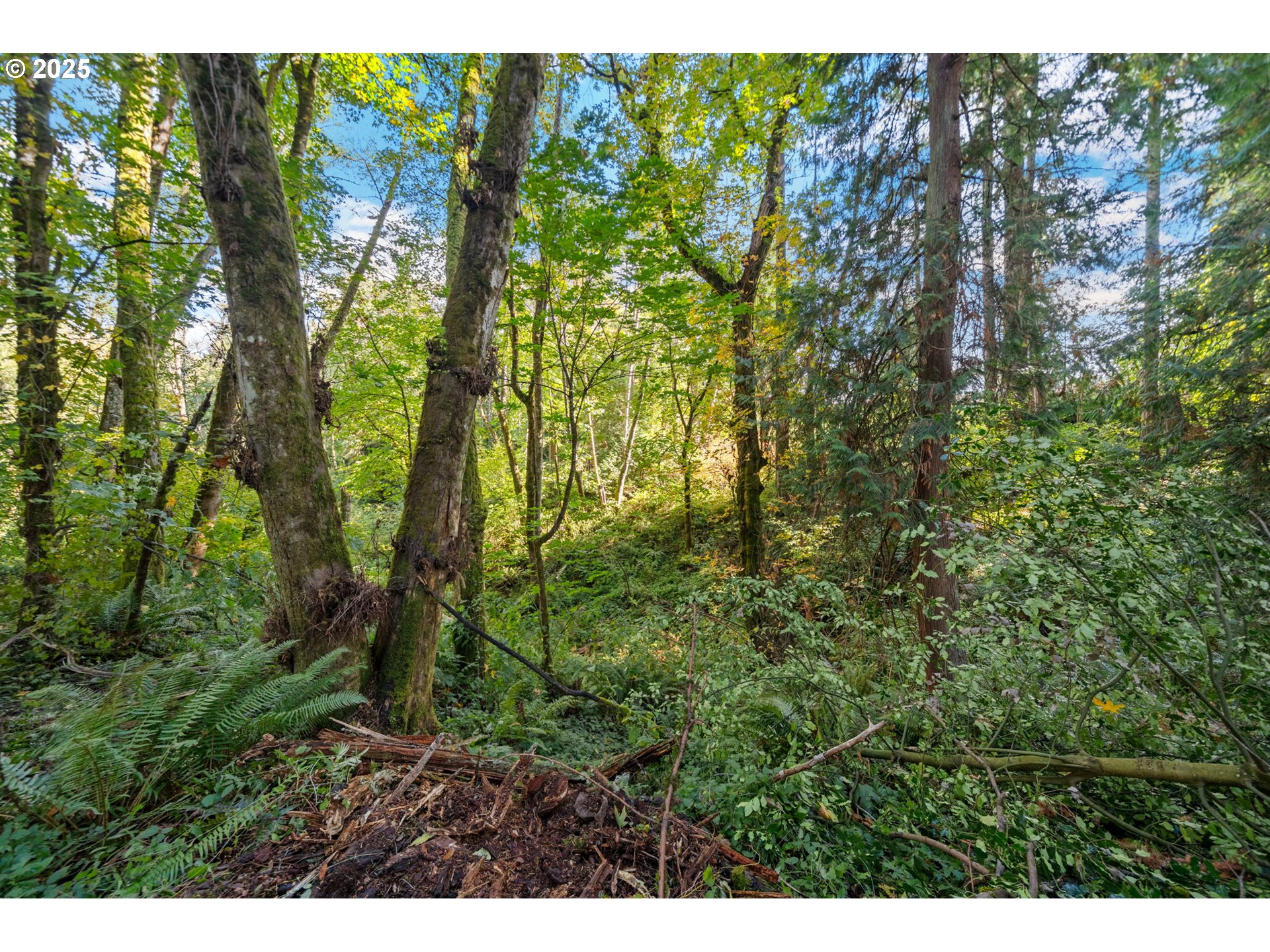 0 South 4th Way Ridgefield, WA 98642 - Photo 18 of 34