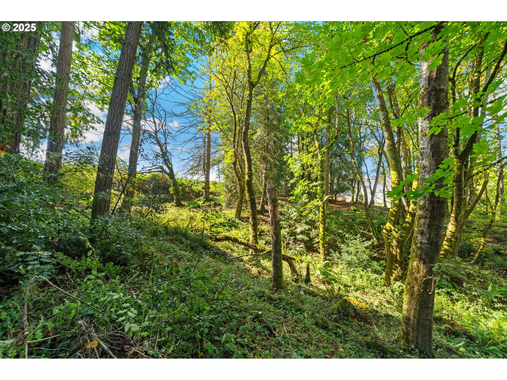 0 South 4th Way Ridgefield, WA 98642 - Photo 19 of 34