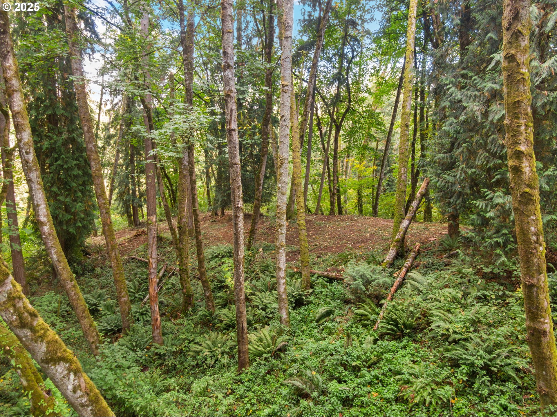 0 South 4th Way Ridgefield, WA 98642 - Photo 21 of 34