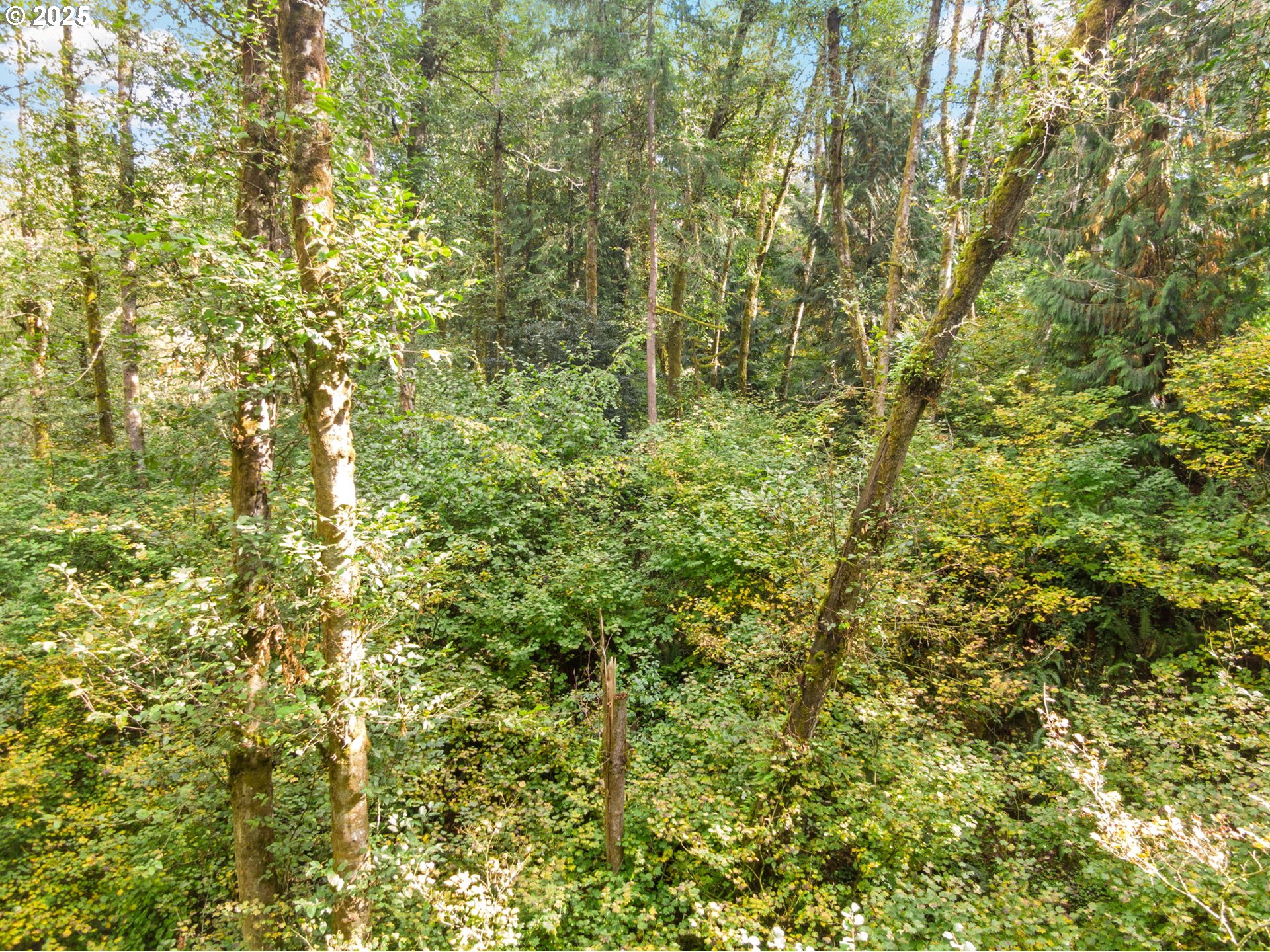 0 South 4th Way Ridgefield, WA 98642 - Photo 22 of 34