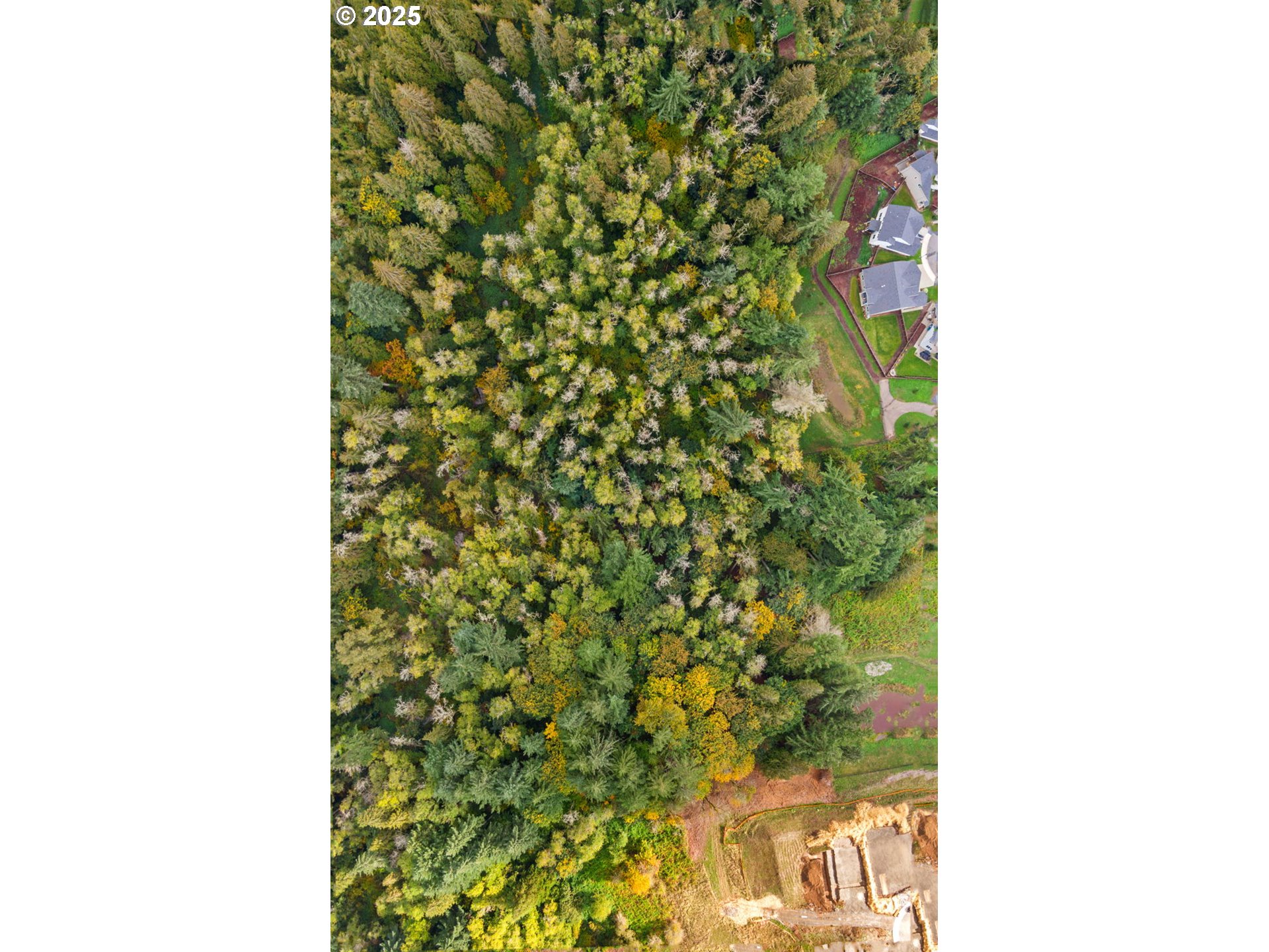 0 South 4th Way Ridgefield, WA 98642 - Photo 23 of 34