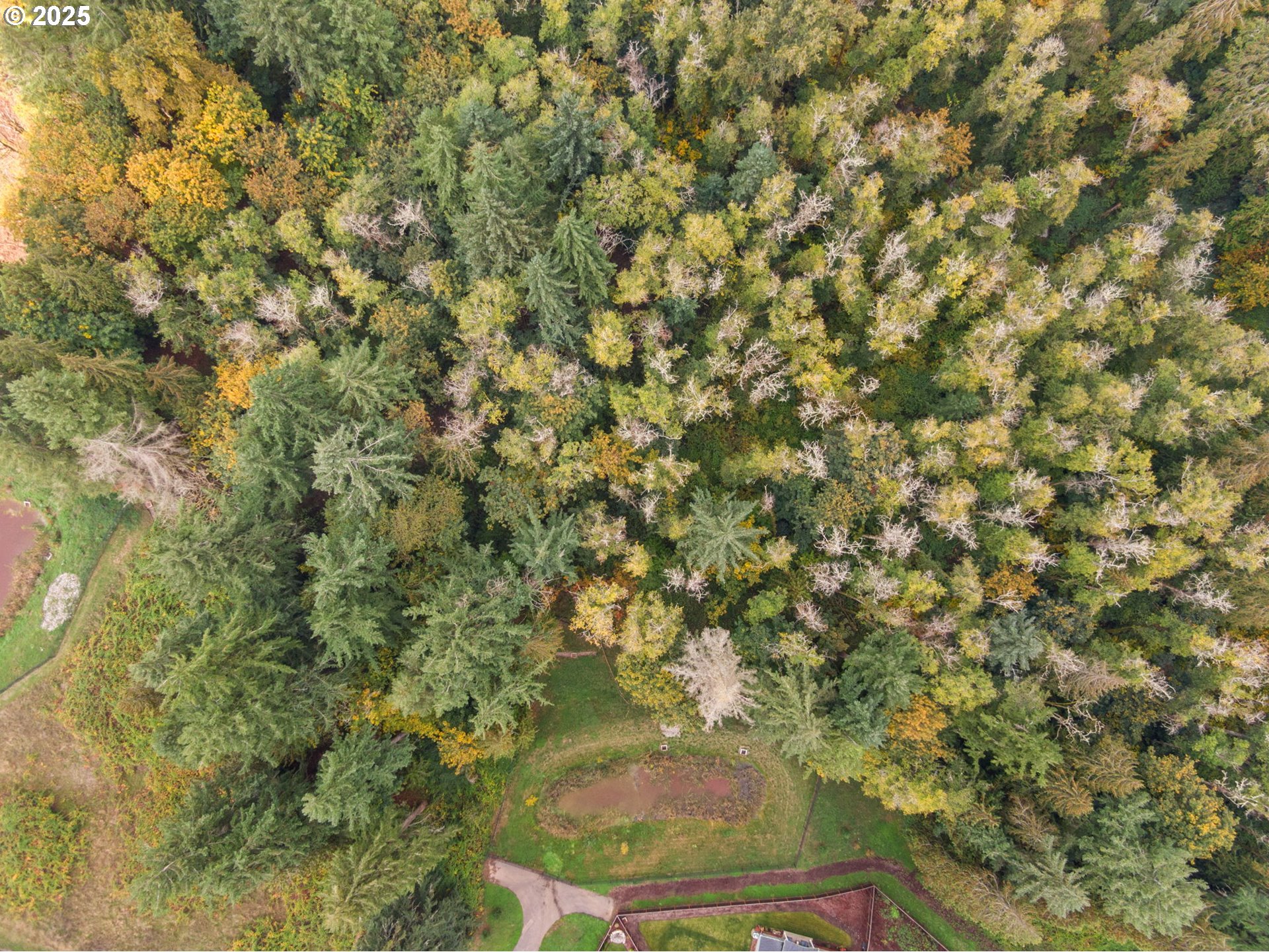 0 South 4th Way Ridgefield, WA 98642 - Photo 24 of 34