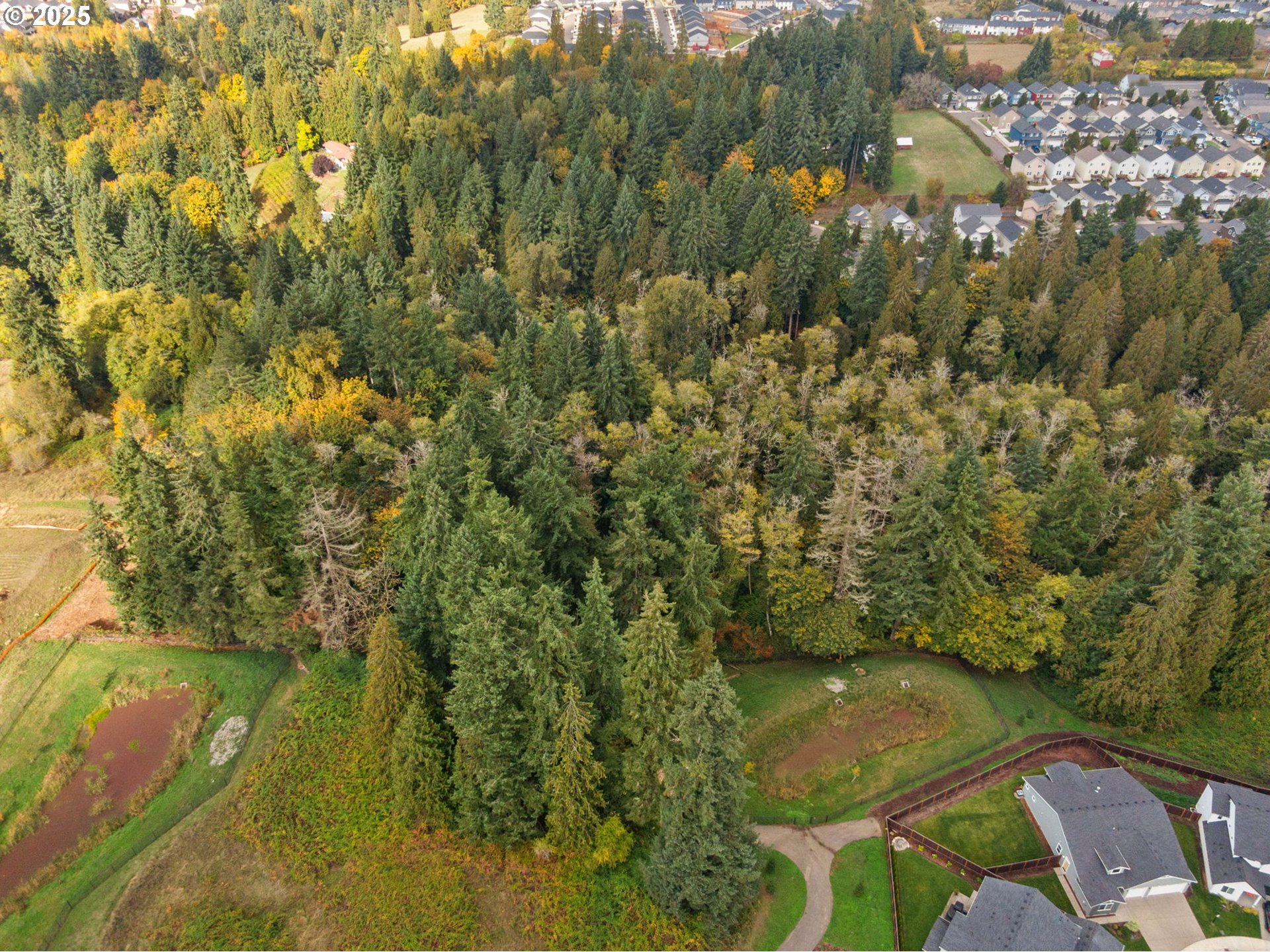 0 South 4th Way Ridgefield, WA 98642 - Photo 25 of 34