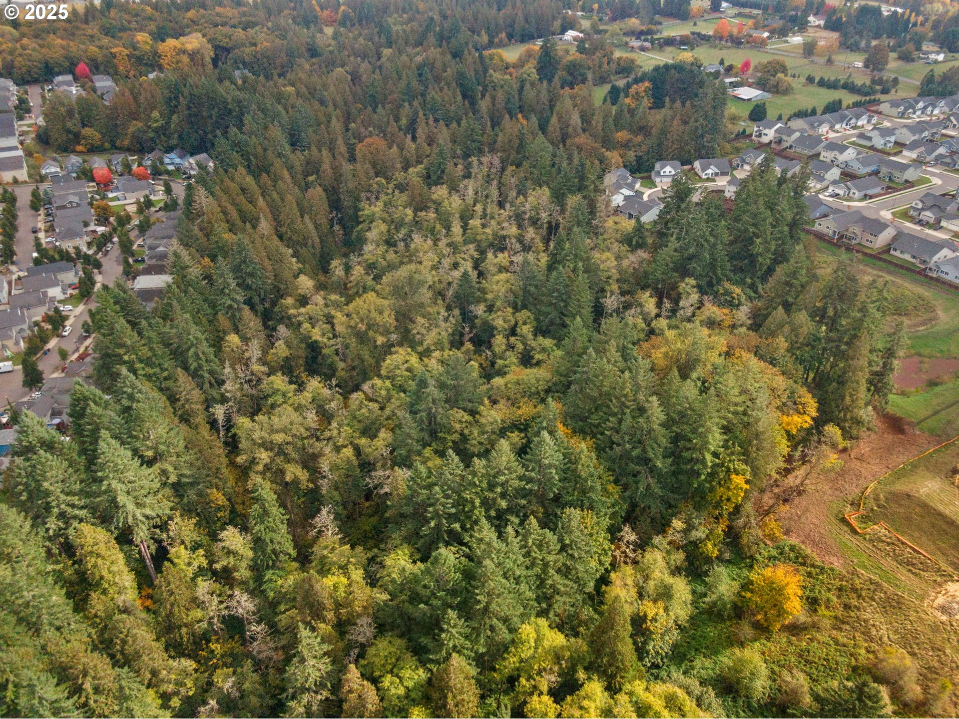 0 South 4th Way Ridgefield, WA 98642 - Photo 26 of 34