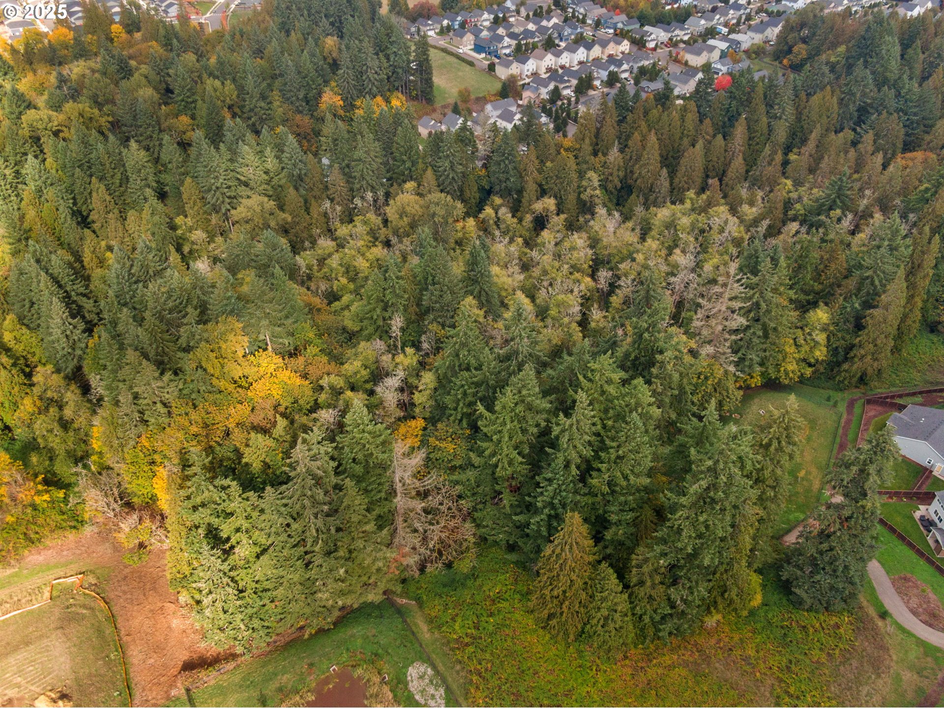 0 South 4th Way Ridgefield, WA 98642 - Photo 28 of 34