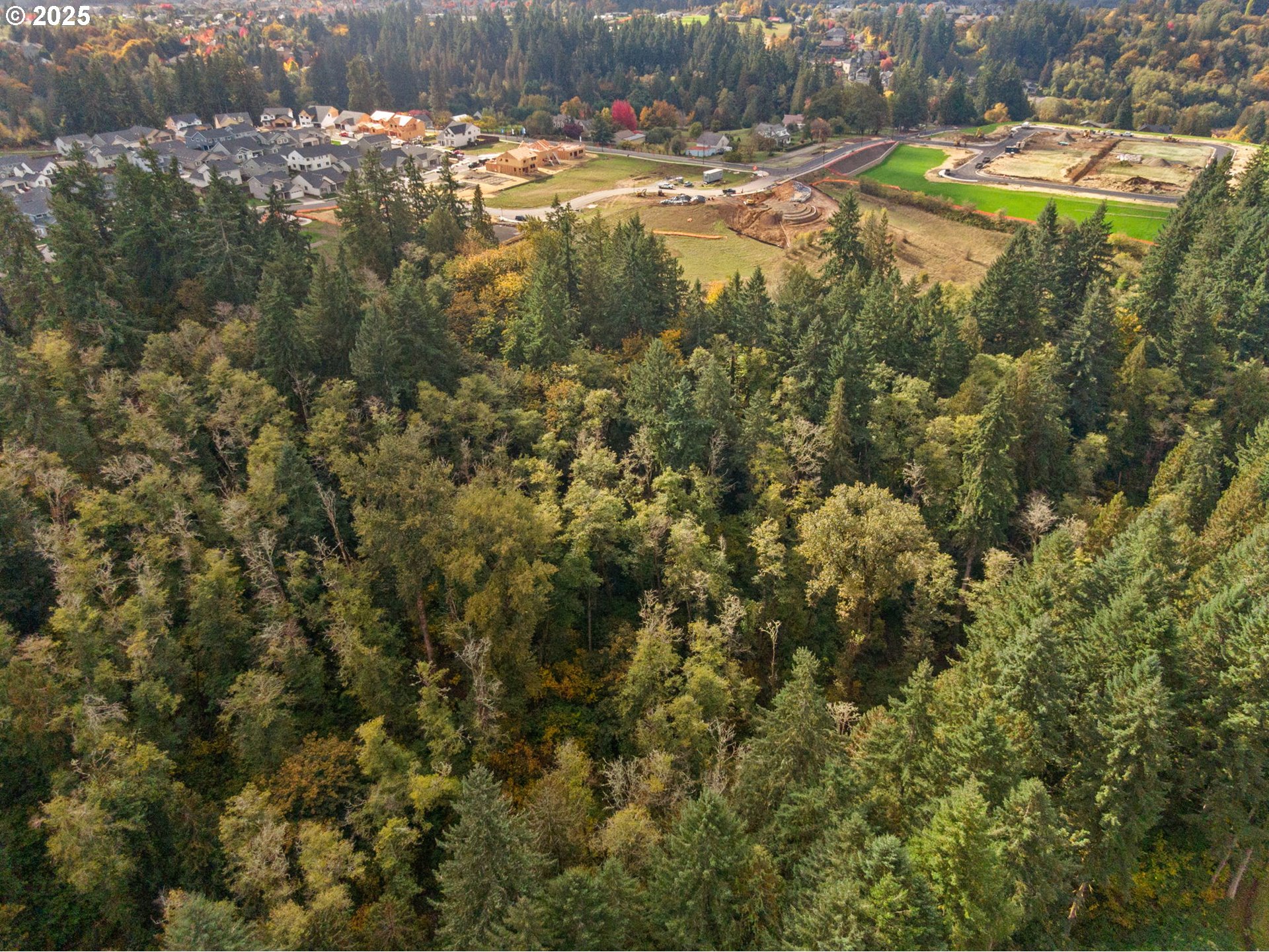 0 South 4th Way Ridgefield, WA 98642 - Photo 30 of 34