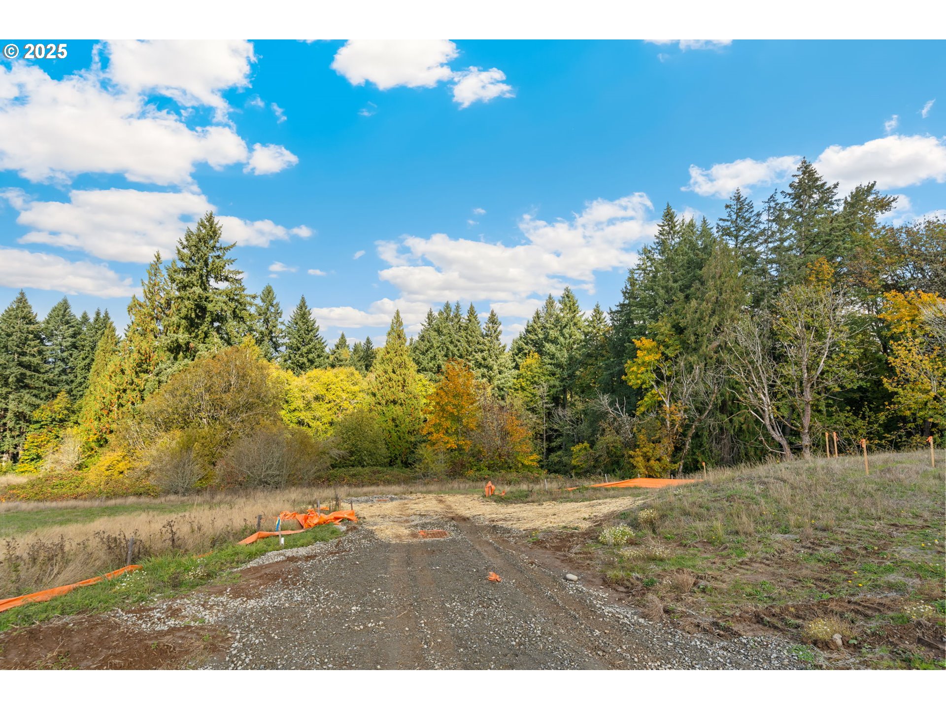 0 South 4th Way Ridgefield, WA 98642 - Photo 3 of 34