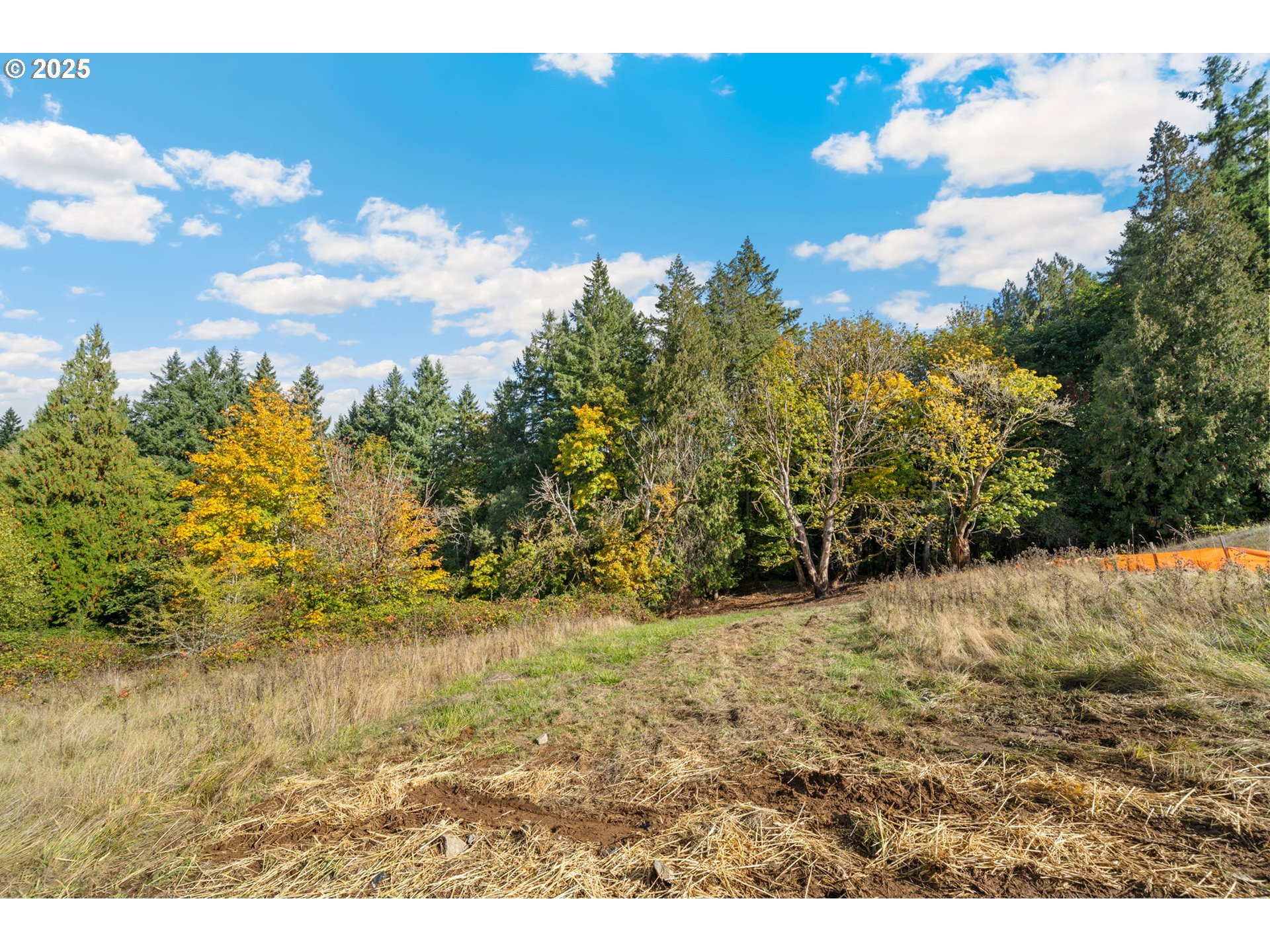 0 South 4th Way Ridgefield, WA 98642 - Photo 4 of 34