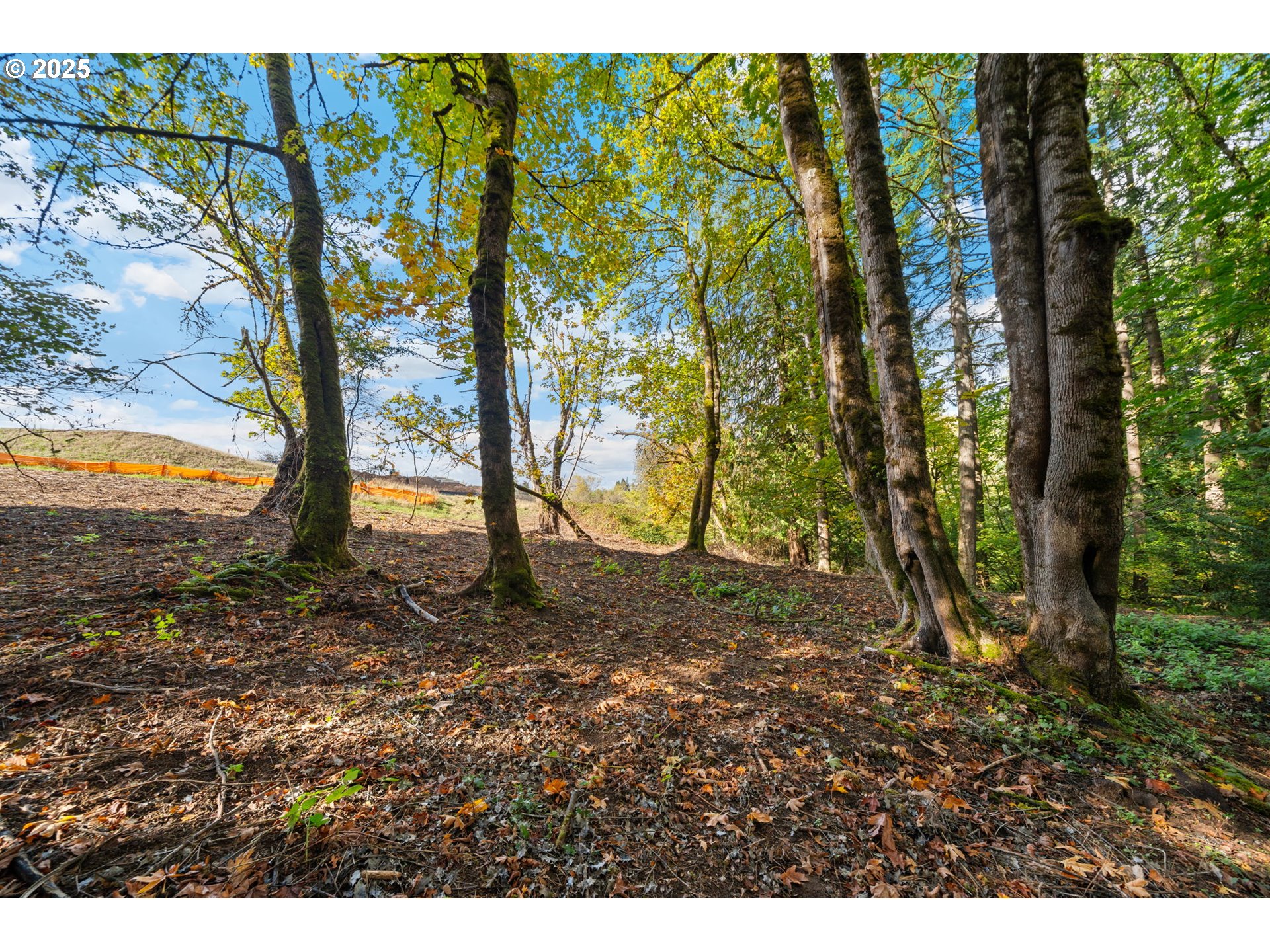 0 South 4th Way Ridgefield, WA 98642 - Photo 5 of 34