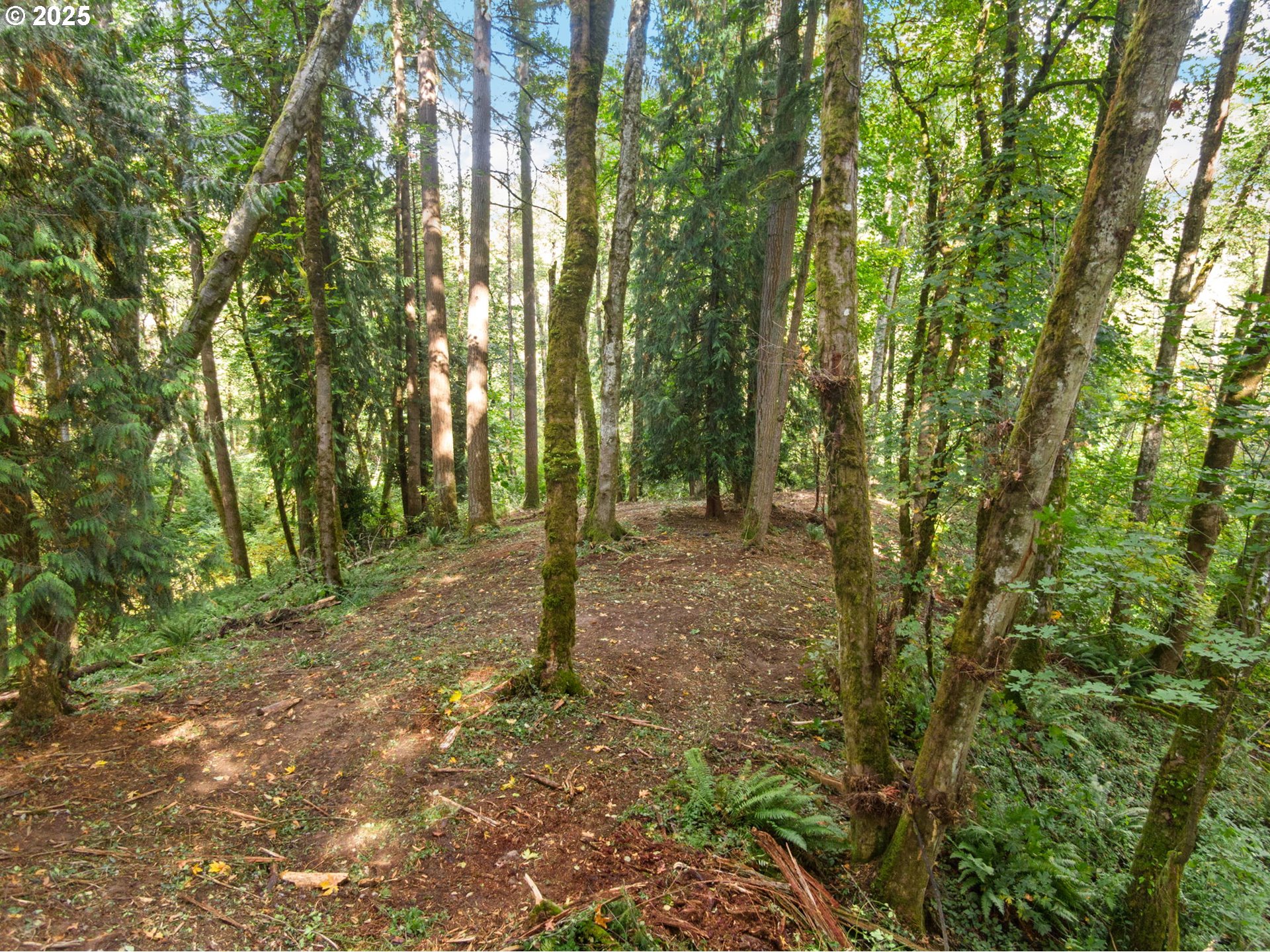 0 South 4th Way Ridgefield, WA 98642 - Photo 6 of 34