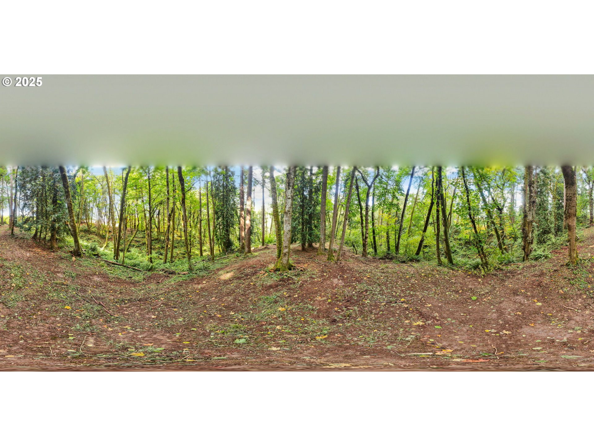 0 South 4th Way Ridgefield, WA 98642 - Photo 7 of 34