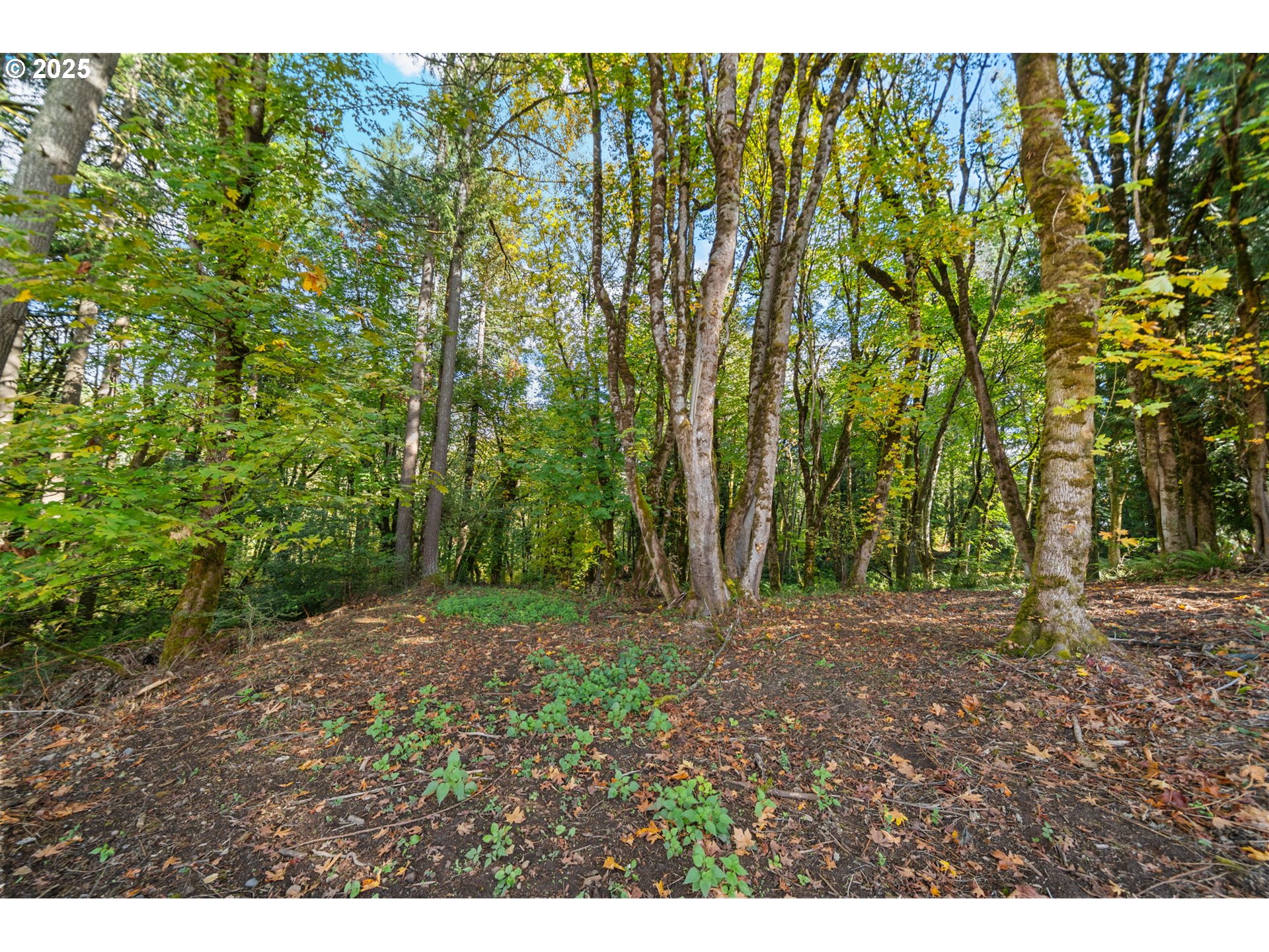 0 South 4th Way Ridgefield, WA 98642 - Photo 8 of 34