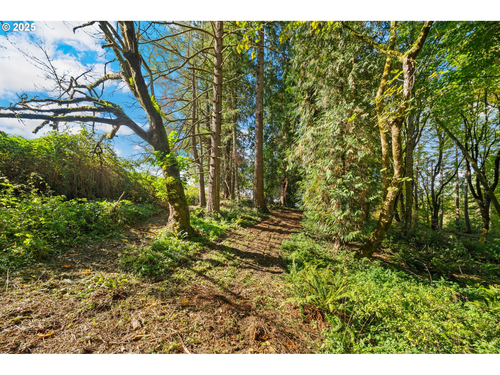 0 South 4th Way Ridgefield, WA 98642 - Photo 9 of 34