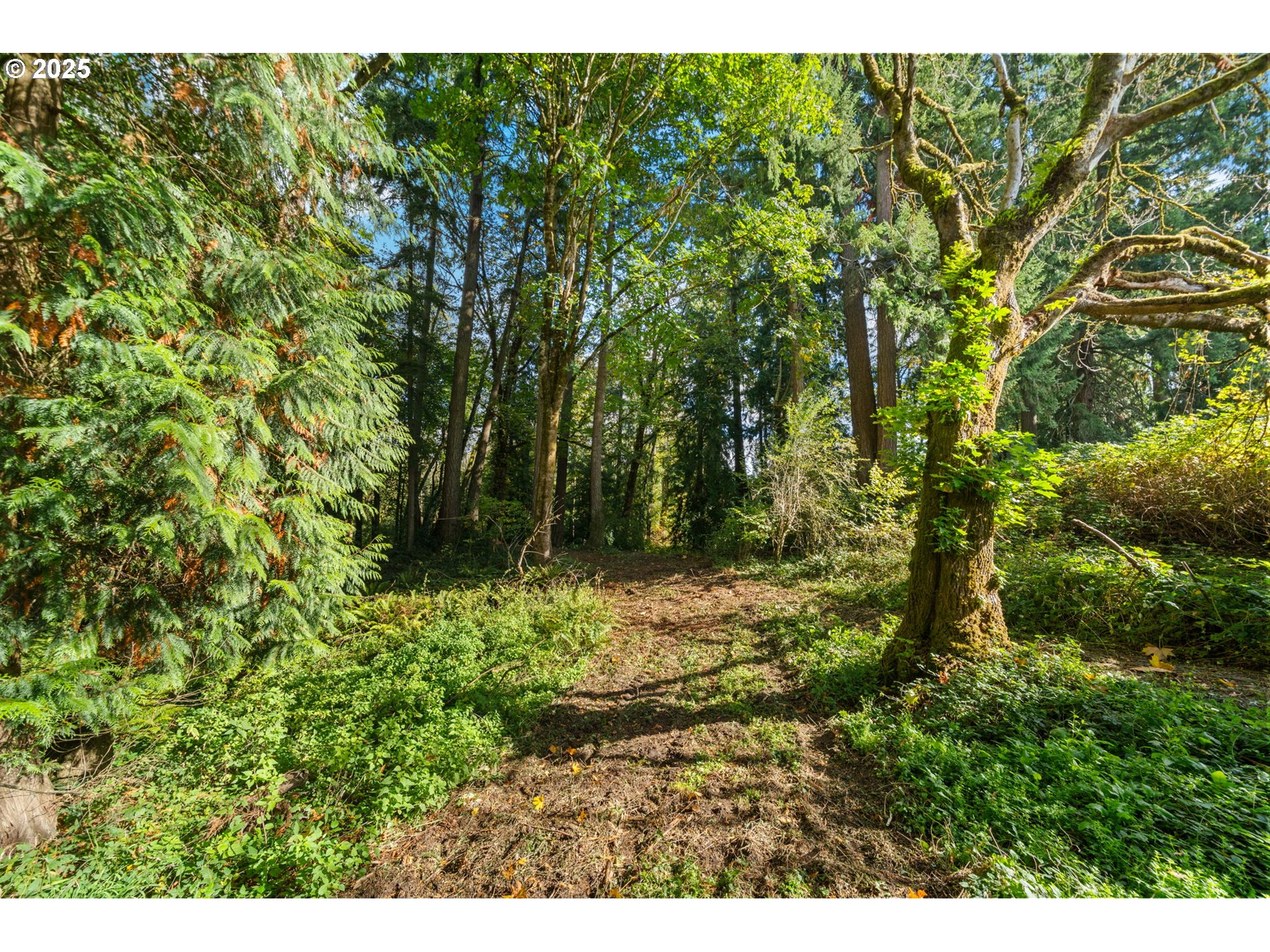 0 South 4th Way Ridgefield, WA 98642 - Photo 10 of 34