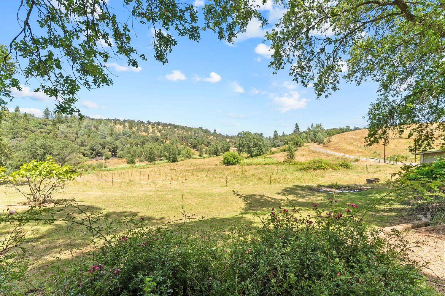 12850 Fiddletown Road Plymouth, CA 95669 - Photo 84 of 88