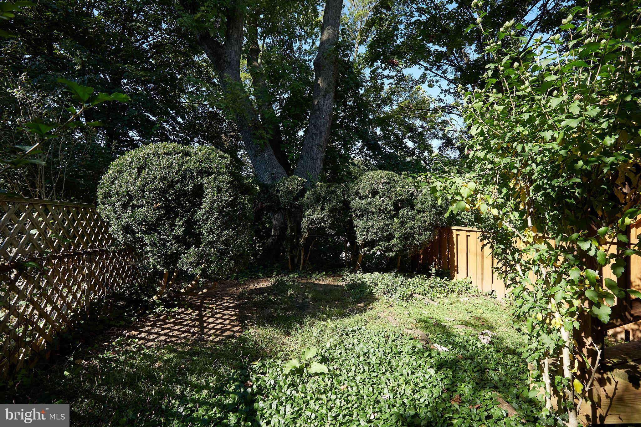 2022 Tunlaw Road Northwest Washington, DC 20007 - Photo 28 of 33 Gallery Image 28