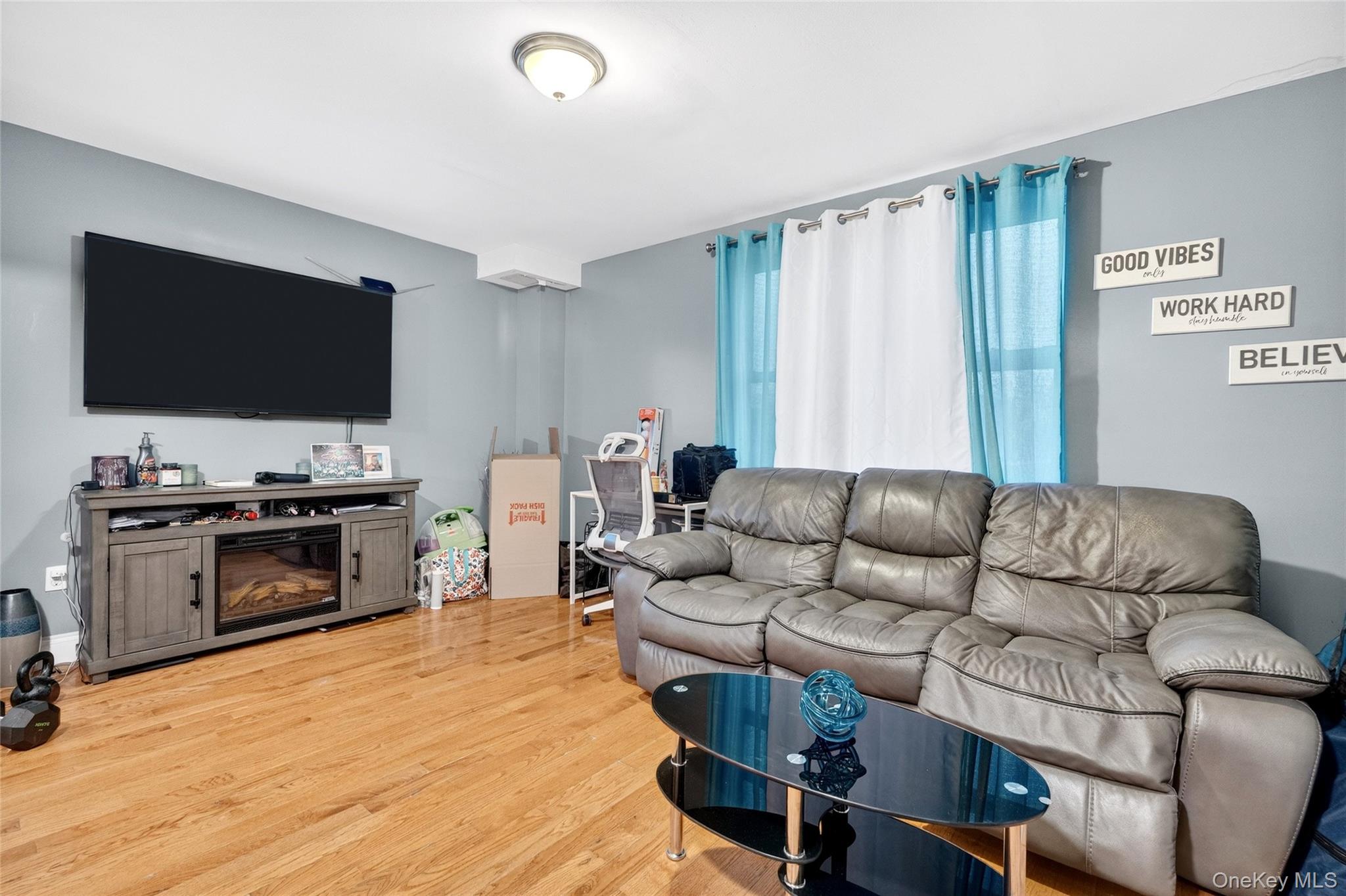 1459 Rosedale Avenue Bronx, NY 10460 - Photo 4 of 37 Living area with a glass covered fireplace and light wood finished floors