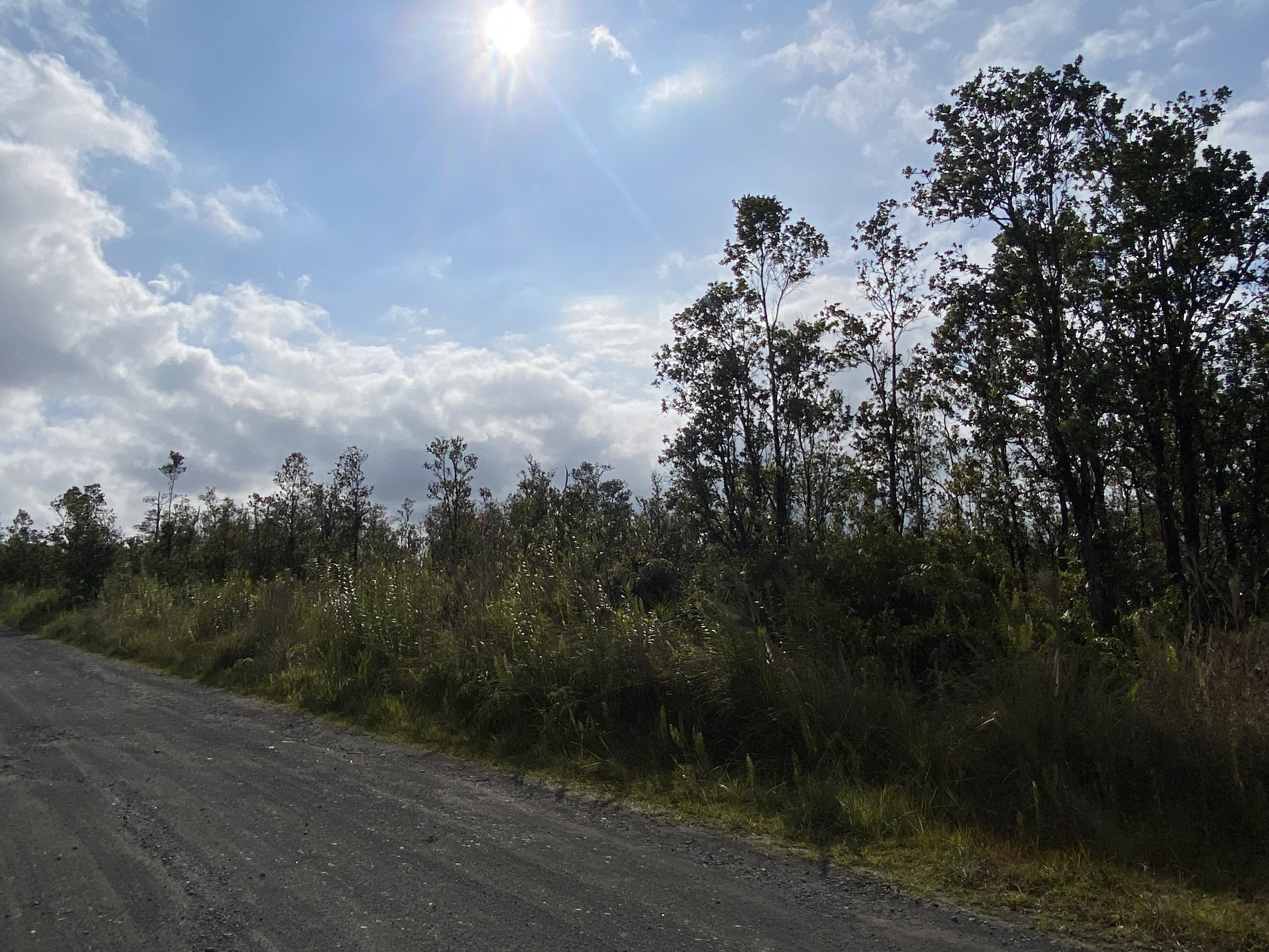 49 Kaleponi Road Mountain View, HI 96771 - Photo 10 of 12