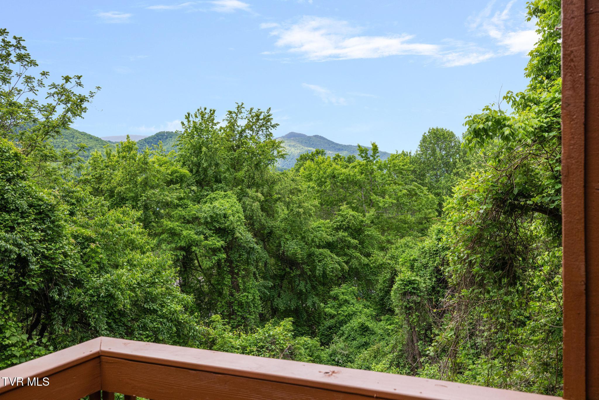 143 Horton Ridge Road Erwin, TN 37650 - Photo 22 of 60 IMG_2392