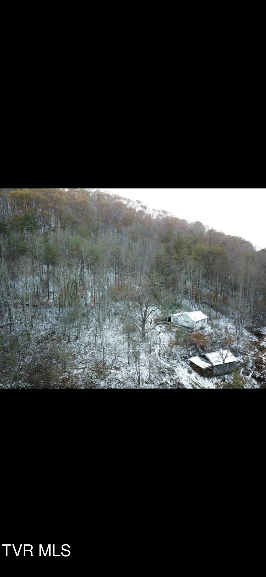 272 Ann Goode Cooper Road Hiltons, VA 24258 - Photo 7 of 14 IMG_5167