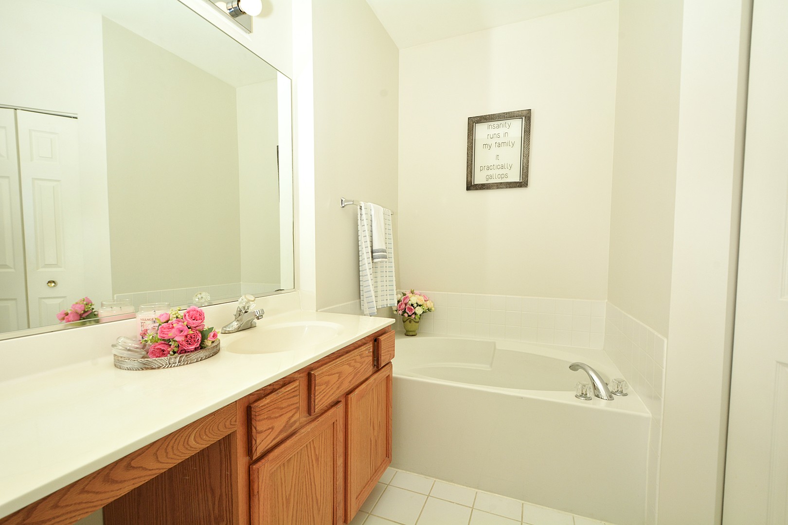 173 Bay Drive Itasca, IL 60143 - Photo 15 of 27 a bathroom with a tub sink and a mirror
