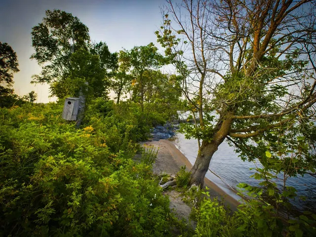 $1,348,700 | 1 Birch Island, Angle Inlet, MN 56711