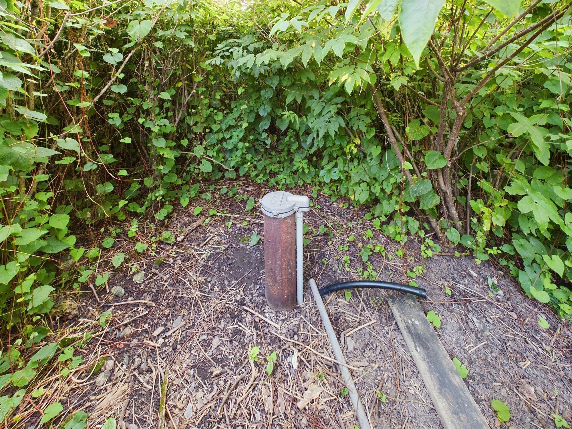 1 Birch Island Angle Inlet, MN 56711 - Photo 42 of 42