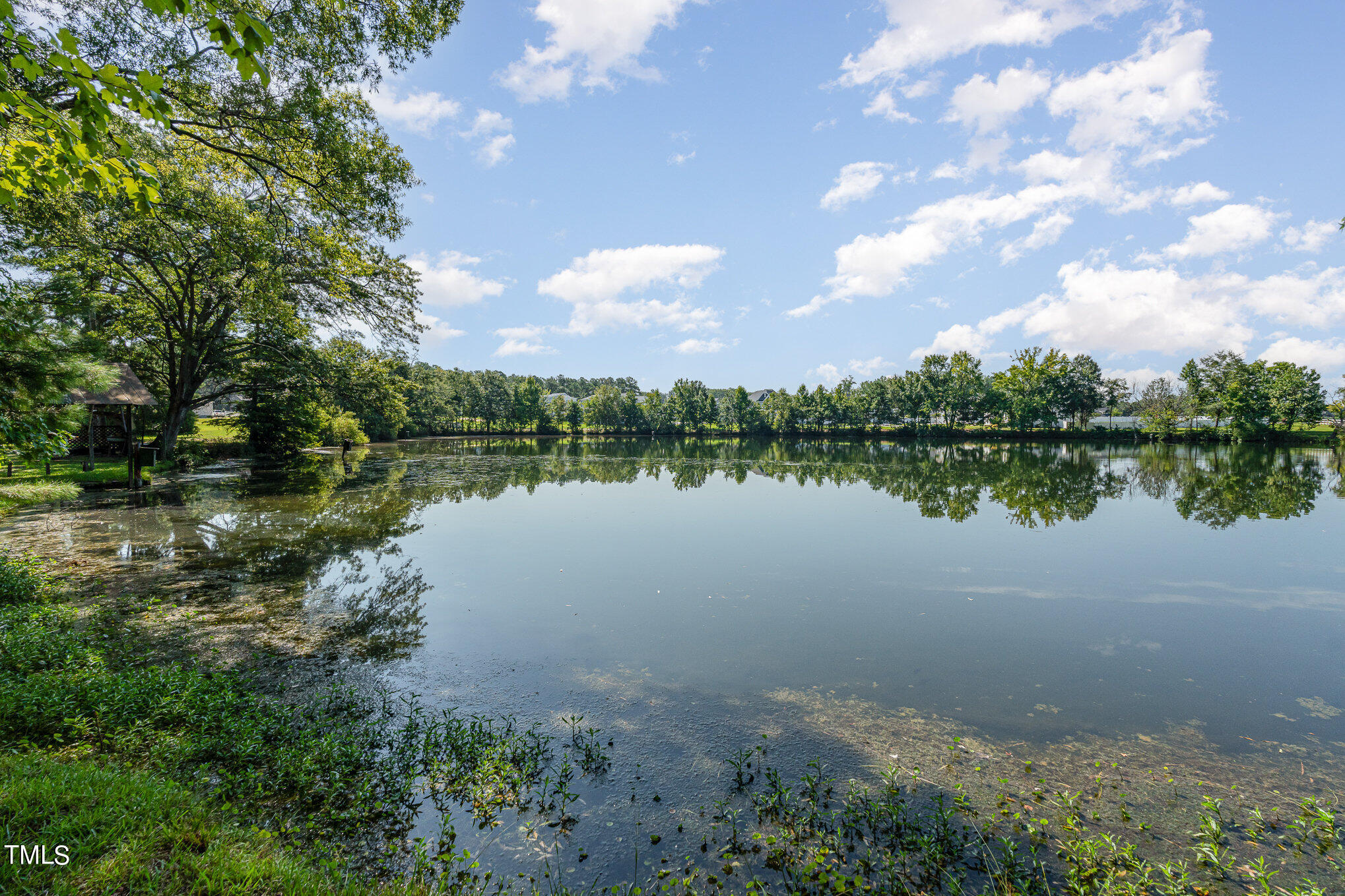 408 Johnston Road Raleigh, NC 27603 - Photo 6 of 25 022_photo_aug_01_2024_6_56_35_pm_2-edit