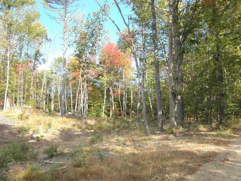 59 Witchtrot Road York, ME 03909 - Photo 4 of 10 Land.