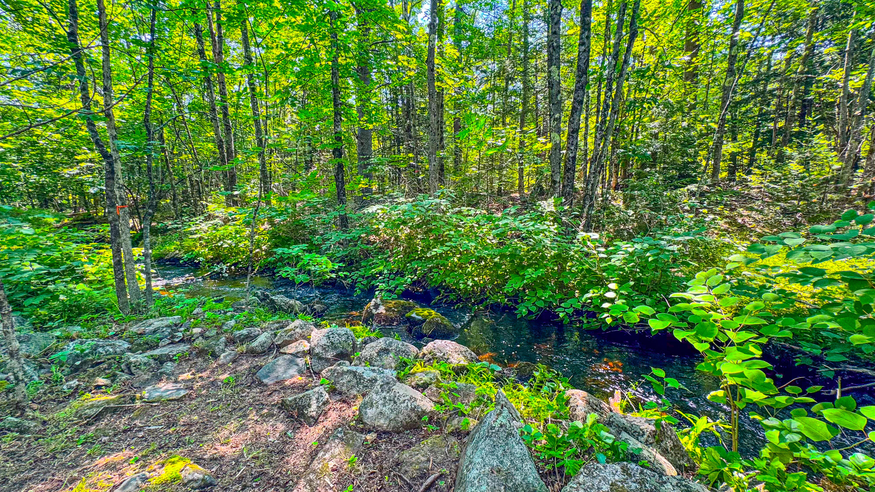 179 South Effingham Road Newfield, ME 04095 - Photo 17 of 37 179 south effingham road-88