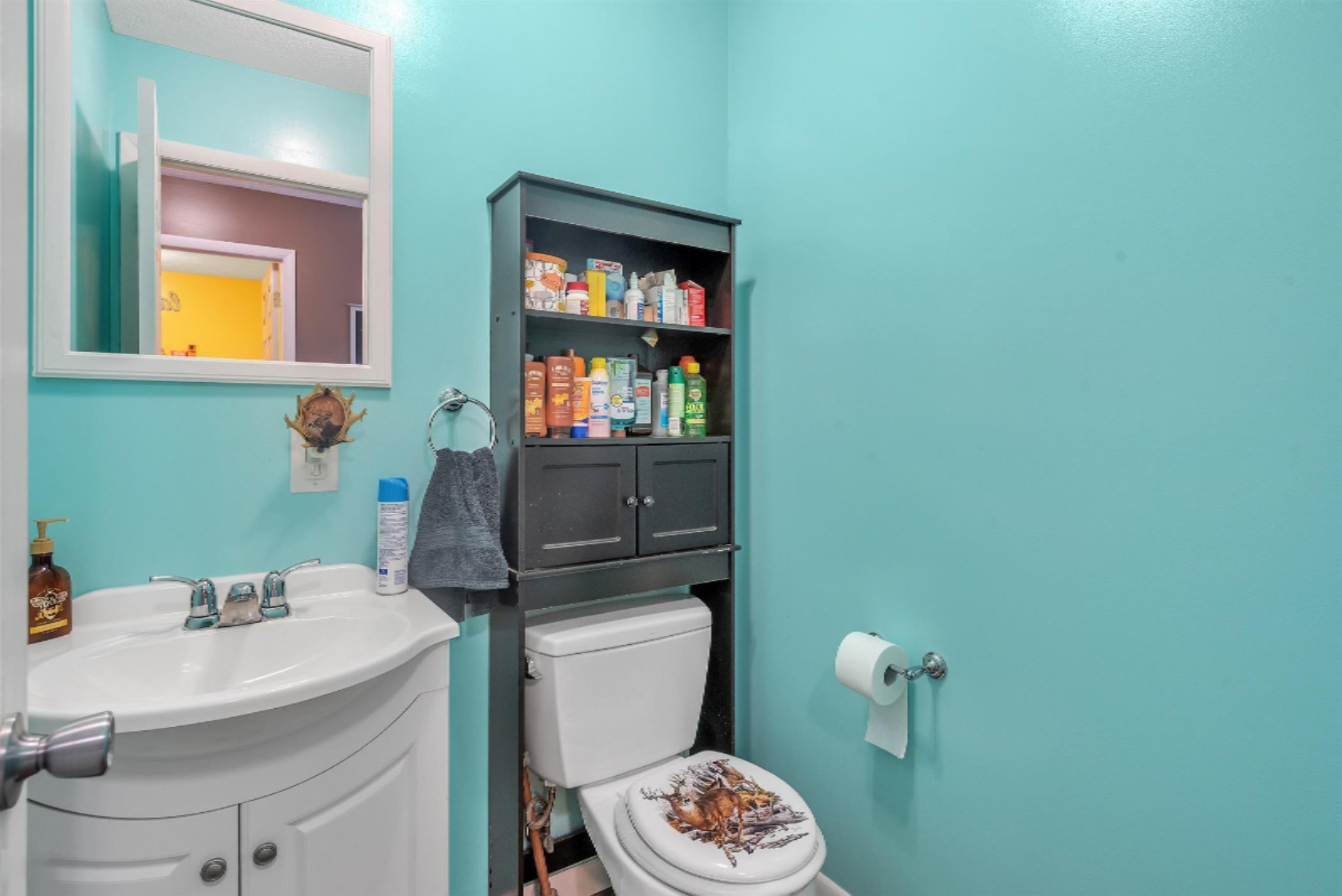 7352 South Crystal Road Carson City, MI 48811 - Photo 24 of 60 17-7352 S Crystal Rd -WindowStill-R