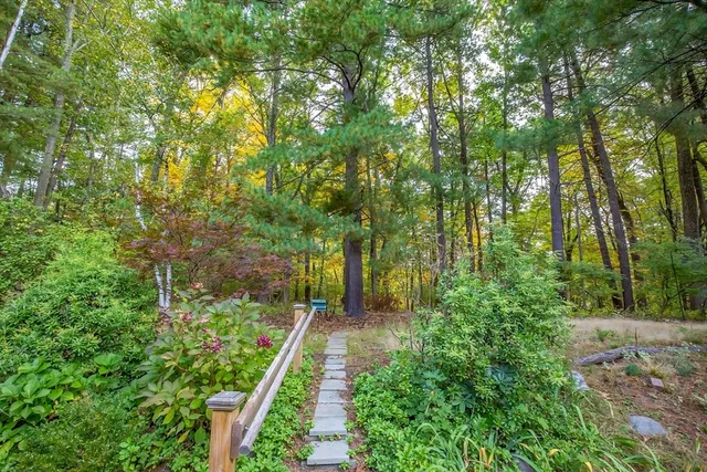 a view of a garden with trees