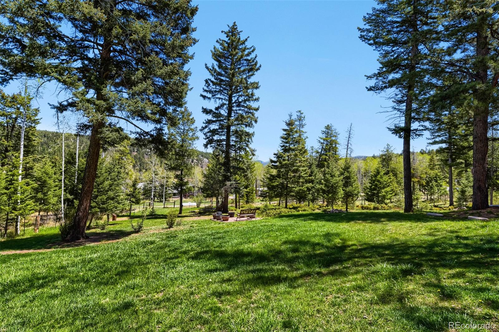 19653 Silver Ranch Road Conifer, CO 80433 - Photo 33 of 43