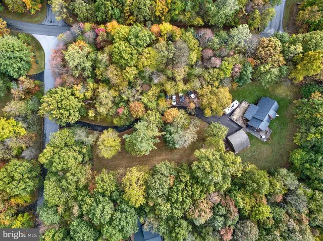 a picture of flowers