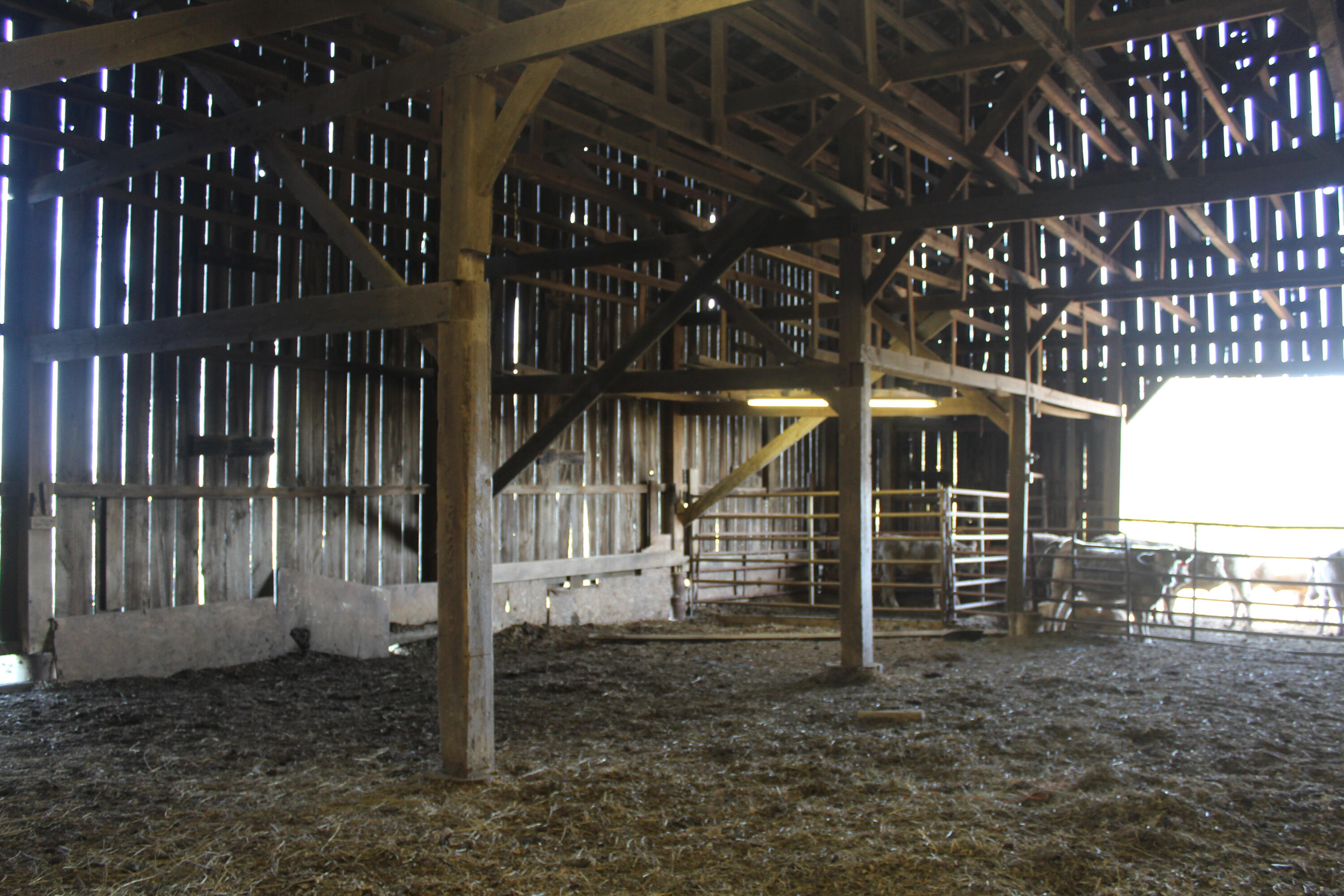 4031 Cynthiana Road Paris, KY 40361 - Photo 19 of 37 IMG_6573
