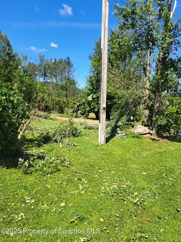 a view of a yard with a tree