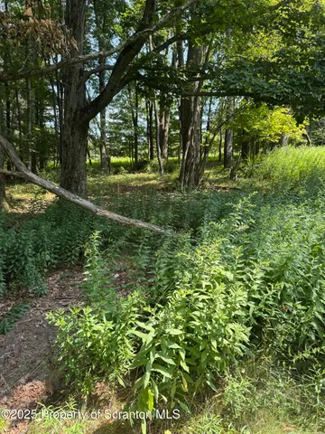 a view of outdoor space