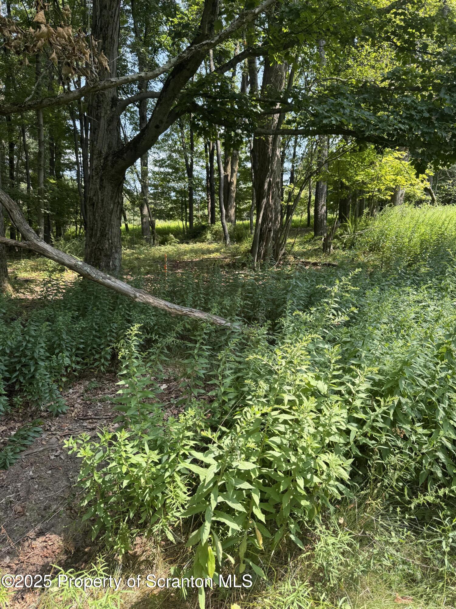 65 Reagan Road Brackney, PA 18812 - Photo 14 of 15 a view of outdoor space