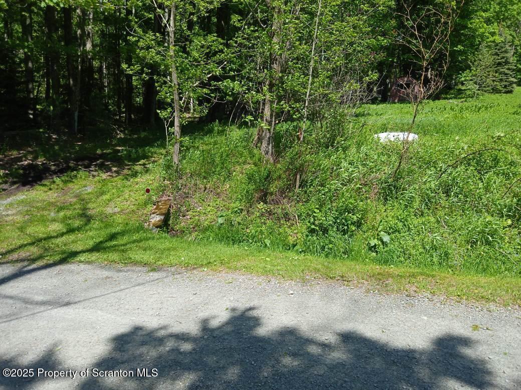 65 Reagan Road Brackney, PA 18812 - Photo 2 of 15 a big yard with lots of green space and plants