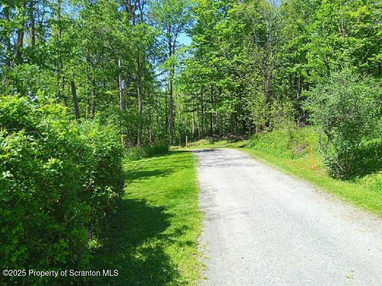 65 Reagan Road Brackney, PA 18812 - Photo 5 of 15 a view of a yard with plants and large trees