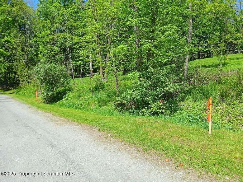 65 Reagan Road Brackney, PA 18812 - Photo 6 of 15 a view of a yard with plants and a trees